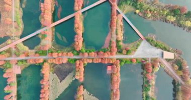 Wuhan Doğu Gölü Wetland Park Sahne Bölgesi Sonbahar manzarası