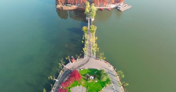 Herfst Landschap Van Wuhan East Lake Wetland Park Scenic Area — Stockvideo