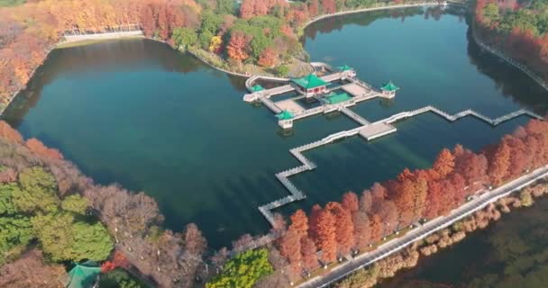 Paisaje Otoñal Wuhan East Lake Wetland Park Área Escénica — Vídeos de Stock