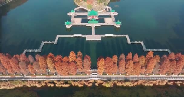 Paesaggio Autunnale Wuhan East Lake Wetland Park Scenic Area — Video Stock