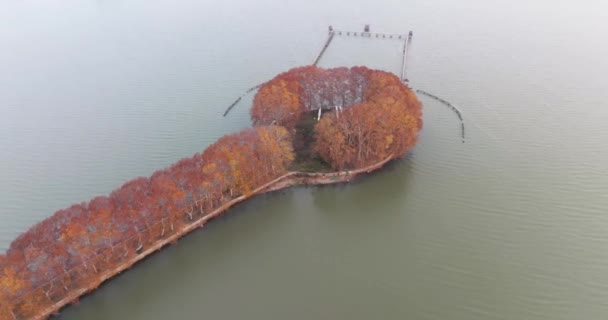 武汉东湖湿地公园风景区的秋季风景 — 图库视频影像