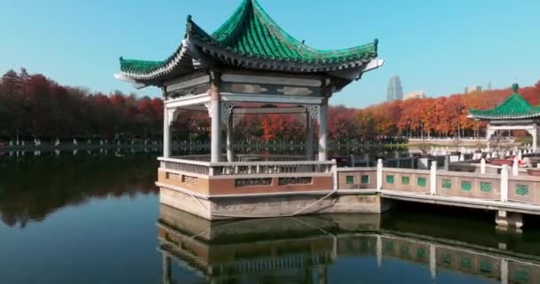 武漢東湖湿地公園風景区の秋の風景 — ストック動画