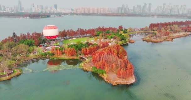 Jesienne Krajobrazy Wuhan East Lake Wetland Park Scenic Area — Wideo stockowe