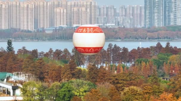 Jesienne Krajobrazy Wuhan East Lake Wetland Park Scenic Area — Wideo stockowe