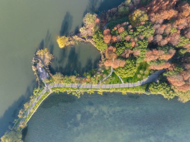 Wuhan Doğu Gölü Wetland Park Sahne Bölgesi Sonbahar manzarası