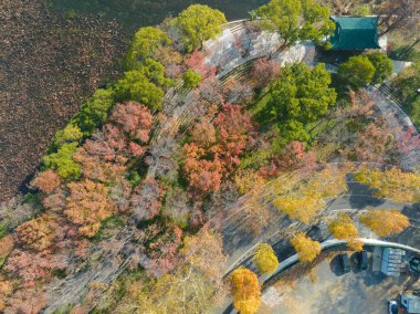 Wuhan Doğu Gölü Wetland Park Sahne Bölgesi Sonbahar manzarası