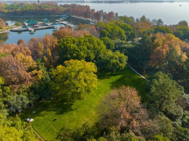 Wuhan Doğu Gölü Wetland Park Sahne Bölgesi Sonbahar manzarası