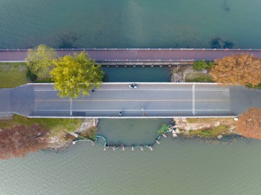 Wuhan Doğu Gölü Wetland Park Sahne Bölgesi Sonbahar manzarası