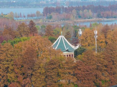 Wuhan Doğu Gölü Wetland Park Sahne Bölgesi Sonbahar manzarası