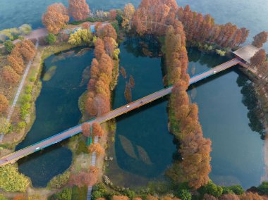 Wuhan Doğu Gölü Wetland Park Sahne Bölgesi Sonbahar manzarası