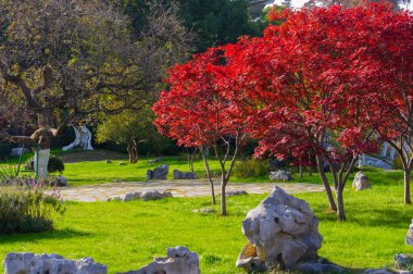 Wuhan Doğu Gölü Wetland Park Sahne Bölgesi Sonbahar manzarası
