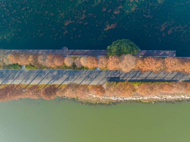 Wuhan Doğu Gölü Wetland Park Sahne Bölgesi Sonbahar manzarası