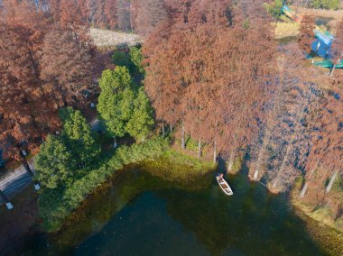 Wuhan Doğu Gölü Wetland Park Sahne Bölgesi Sonbahar manzarası