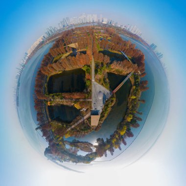 Wuhan Doğu Gölü Wetland Park Sahne Bölgesi Sonbahar manzarası