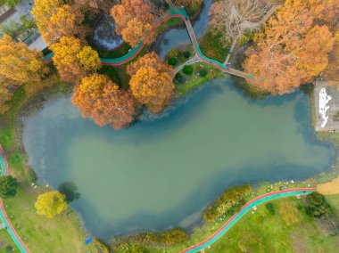 Wuhan Jiefang Park sonbahar manzarası Hubei, Çin