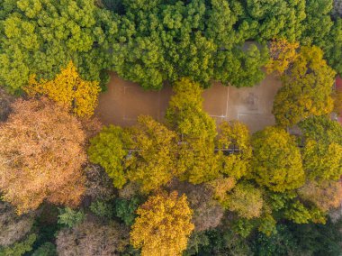 Wuhan Jiefang Park sonbahar manzarası Hubei, Çin