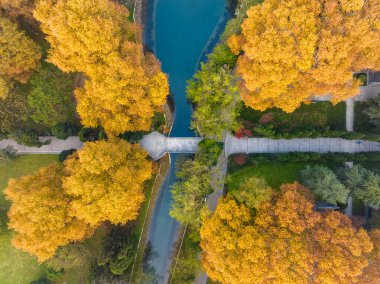 Wuhan Jiefang Park sonbahar manzarası Hubei, Çin