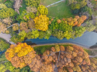 Wuhan Jiefang Park sonbahar manzarası Hubei, Çin