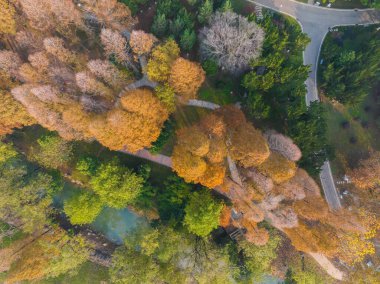 Wuhan Qingshan Parkı sonbahar manzarası Hubei, Çin