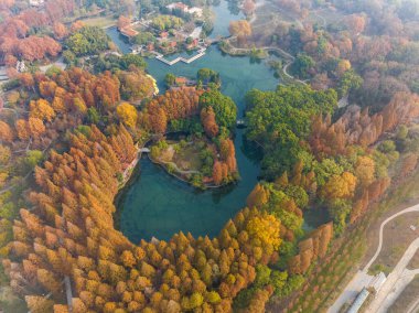 Wuhan Qingshan Parkı sonbahar manzarası Hubei, Çin
