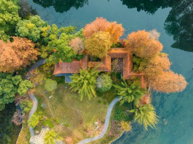 Wuhan Qingshan Parkı sonbahar manzarası Hubei, Çin