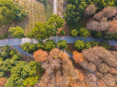 Wuhan Yuehu Parkı sonbahar manzarası Hubei, Çin