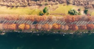 Wuhan Doğu Gölü Wetland Park Sahne Bölgesi Sonbahar manzarası