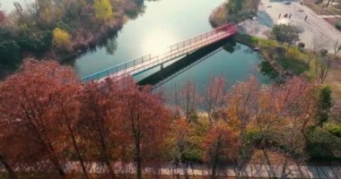 Wuhan Doğu Gölü Wetland Park Sahne Bölgesi Sonbahar manzarası