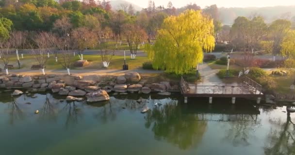 Paisaje Otoñal Wuhan East Lake Wetland Park Área Escénica — Vídeo de stock