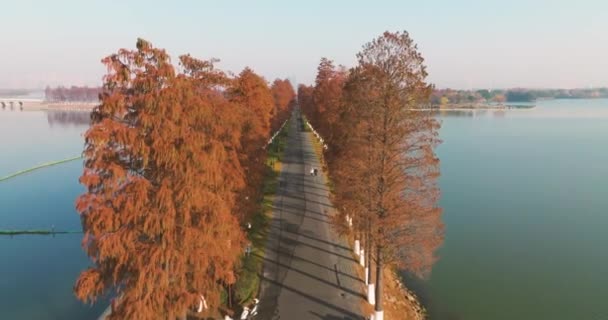 Herbstliche Landschaft Des Wuhan East Lake Wetland Park Scenic Area — Stockvideo
