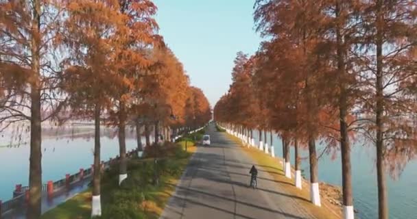 Höstlandskap Wuhan East Lake Wetland Park Scenic Area — Stockvideo