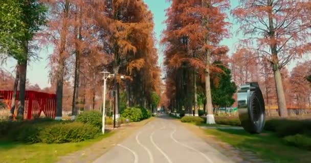Wuhan Doğu Gölü Wetland Park Sahne Bölgesi Sonbahar Manzarası — Stok video