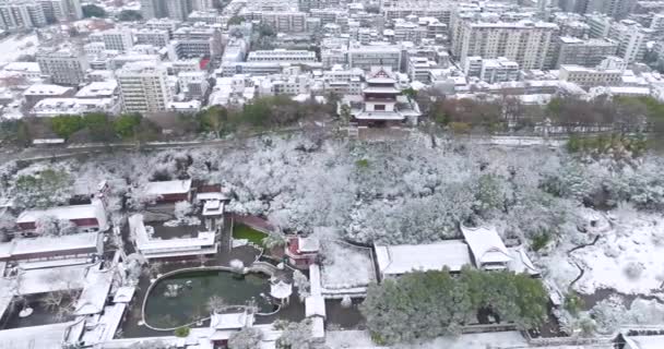 Wuhan Yellow Crane Tower Park Winter Snow Scenery — Stok video
