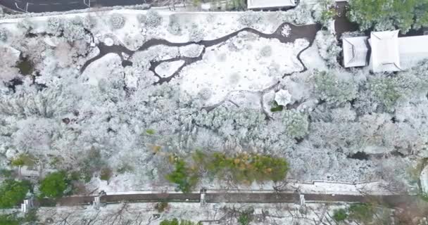Wuhan Yellow Crane Tower Park Winter Snow Scenery — Video Stock
