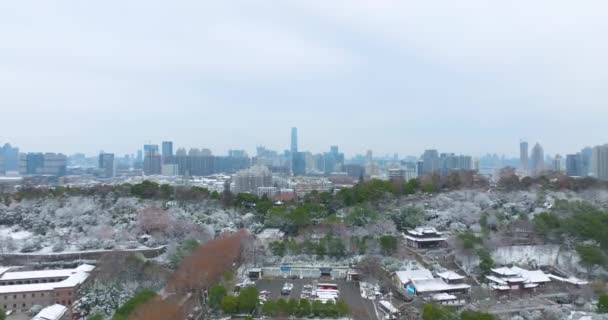Wuhan Yellow Crane Tower Park Winter Snow Scenery — Video Stock