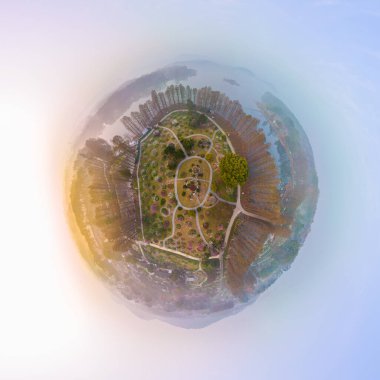 Plum blossoms bloom in spring in Wuhan East Lake Plum Garden