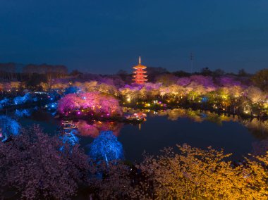 Wuhan Doğu Gölü Mushan Kiraz Bahçesi Gece Manzarası
