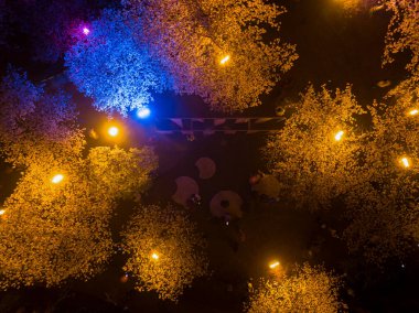 Wuhan Doğu Gölü Mushan Kiraz Bahçesi Gece Manzarası