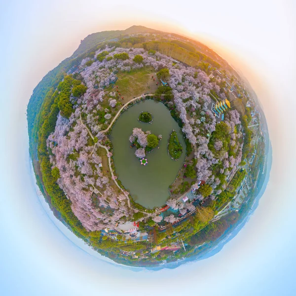 Ухань Восточное Озеро Гора Вишня Цветение Сада Весенний Пейзаж — стоковое фото