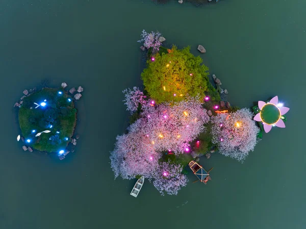 Wuhan East Lake Mushan Cereja Flor Jardim Noite Paisagem — Fotografia de Stock