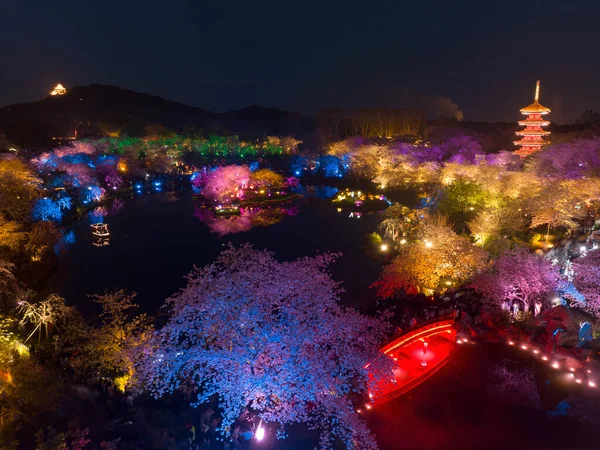 stock image Wuhan East Lake Mushan Cherry Blossom Garden Night scenery