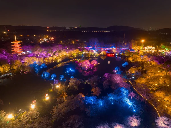 Wuhan East Lake Mushan Kirschblüten Garten Nacht Landschaft — Stockfoto