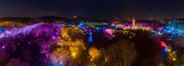 Wuhan East Lake Mushan Cereja Flor Jardim Noite Paisagem — Fotografia de Stock