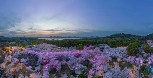 武汉东湖墨山樱花花园夜景 — 图库照片
