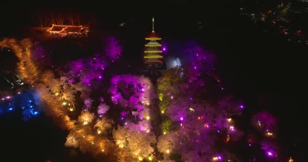 Wuhan Doğu Gölü Kiraz Çiçeği Bahçesi Bahar Sahnesi — Stok video