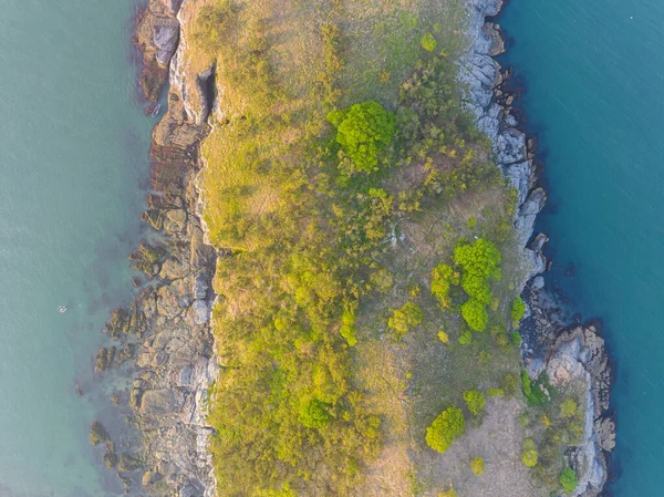 Dalian, Liaoning, Çin 'deki Binhai Yolu' nun bahar deniz manzarası.