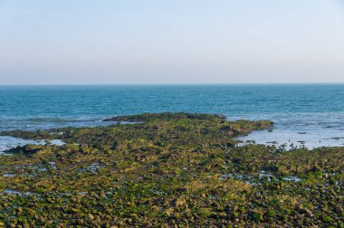 Dalian, Liaoning, Çin 'deki Binhai Yolu' nun bahar deniz manzarası.
