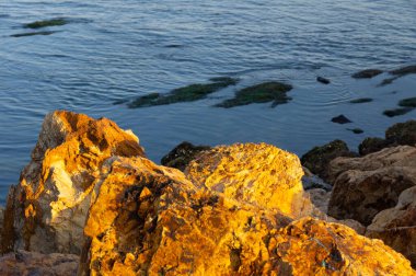 Dalian, Liaoning, Çin 'deki Binhai Yolu' nun bahar deniz manzarası.