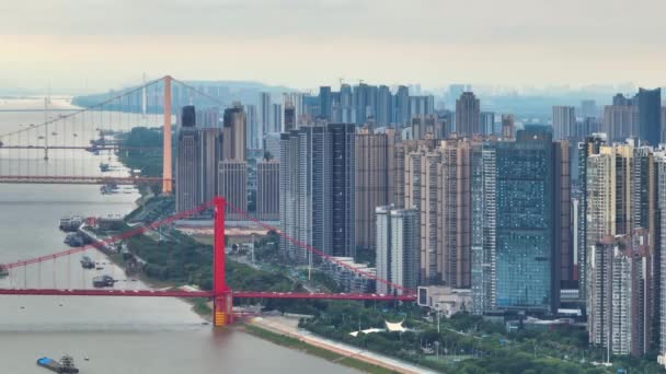 武汉夏城地标与天际线风景 — 图库视频影像