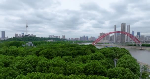 武汉夏城地标与天际线风景 — 图库视频影像